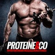 Proteineandco